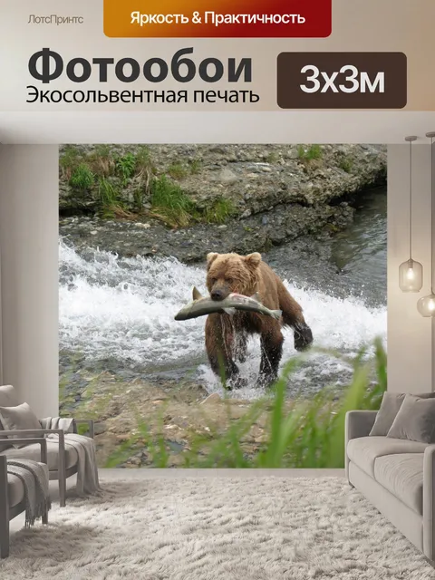 Фотообои медведь