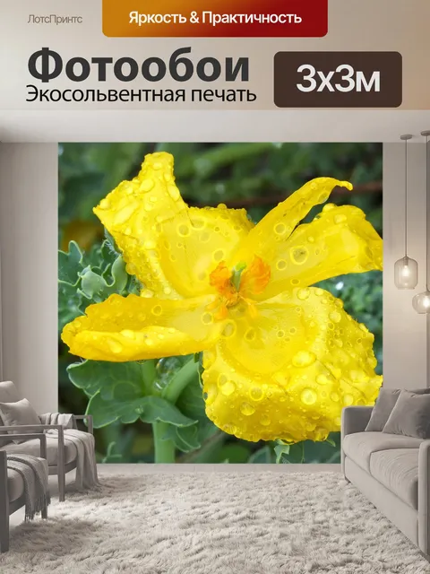 Фотообои Глауциум желтая