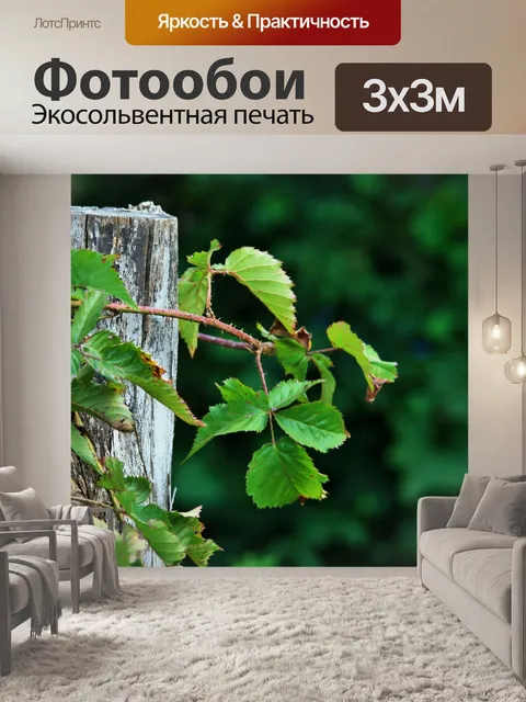 Фотообои Терновник уступая более пень