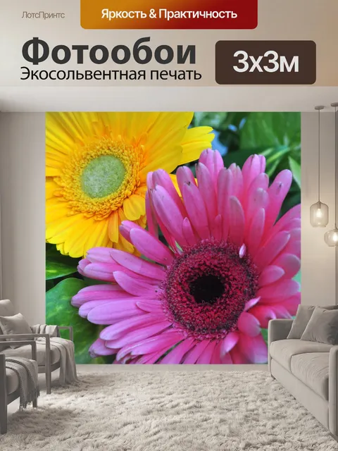 Фотообои Гербера ромашка 010