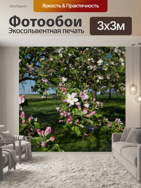 Фотообои Дерево
