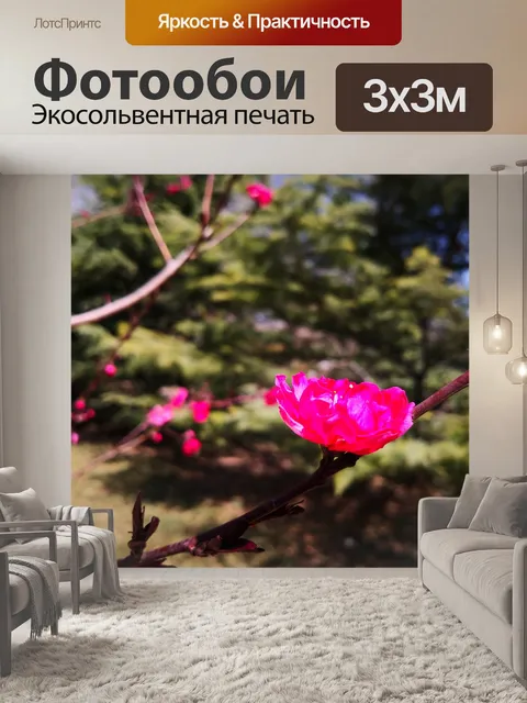 Фотообои Цветок сливы