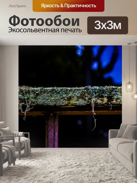 Фотообои Красочный фон Мосса