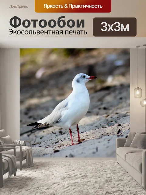 Фотообои Птицы