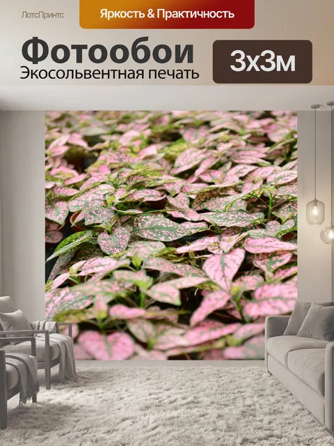 Фотообои Розовый