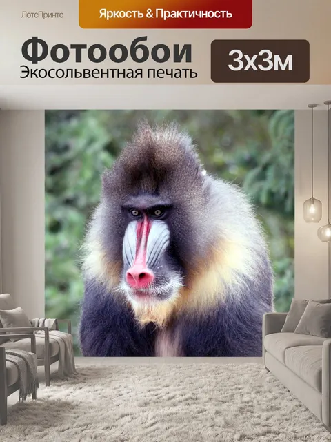 Фотообои Мандрил