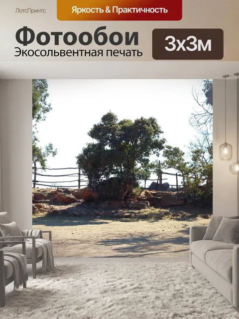 Фотообои деревья и забор в солнечном свете