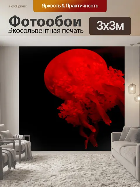Фотообои Красный медузы