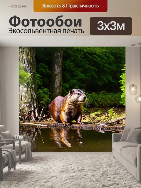 Фотообои бобр, неподвижно стоящий у берега, внимательно осматривает окружающий пейзаж на фоне дремучего леса