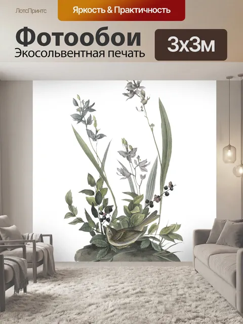 Фотообои Птица