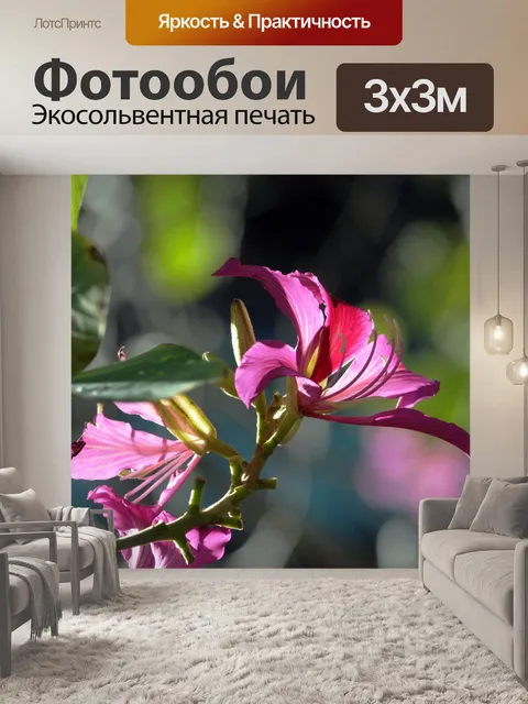 Фотообои Розовые цветы