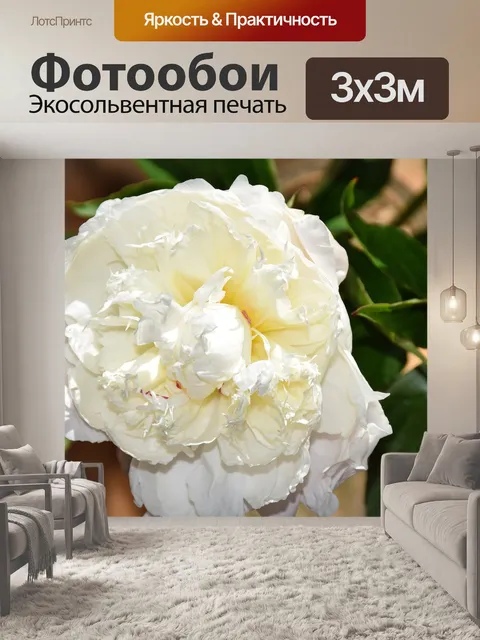 Фотообои Цветы