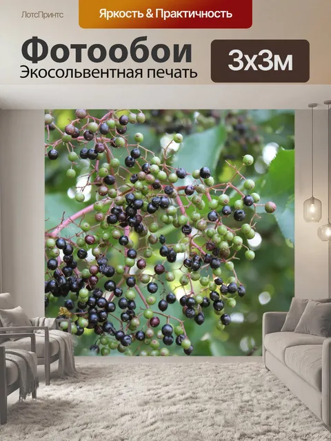 Фотообои Ягода