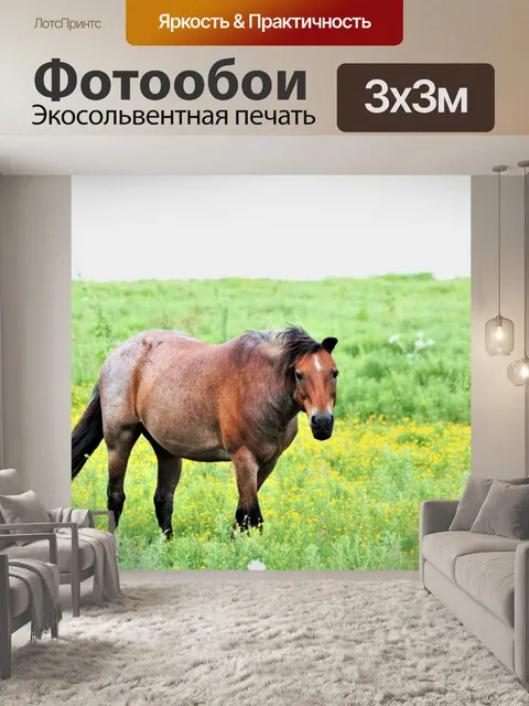Фотообои Коричневая лошадь в поле полевых цветов