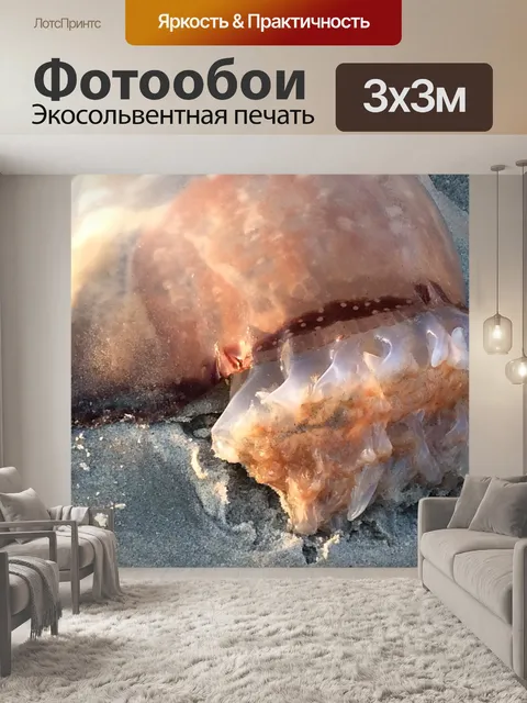 Фотообои Пушечное ядро медуза