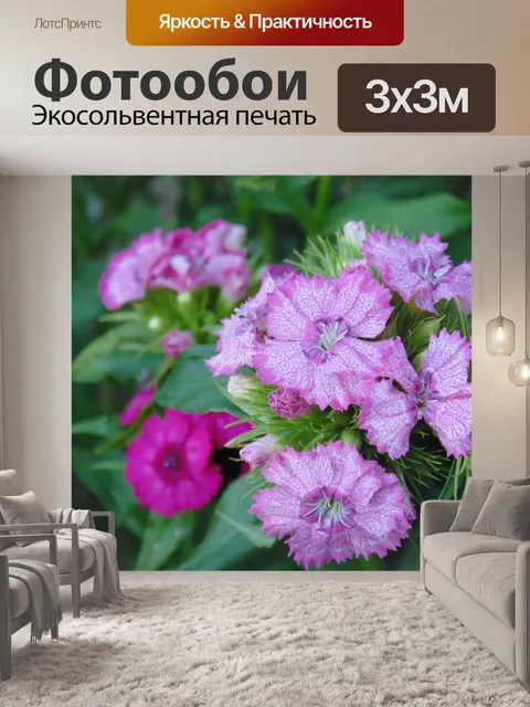 Фотообои Флора