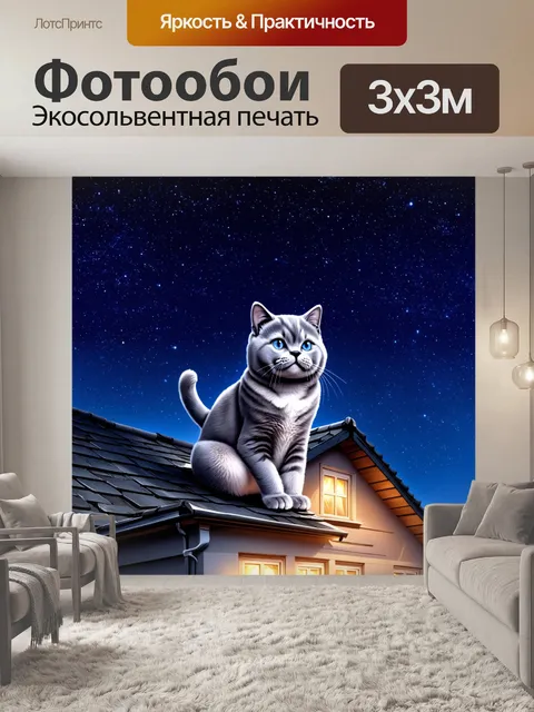 Фотообои ночной пейзаж с британской короткошерстной кошкой, сидящей на крыше дома, наблюдающей за звёздным небом