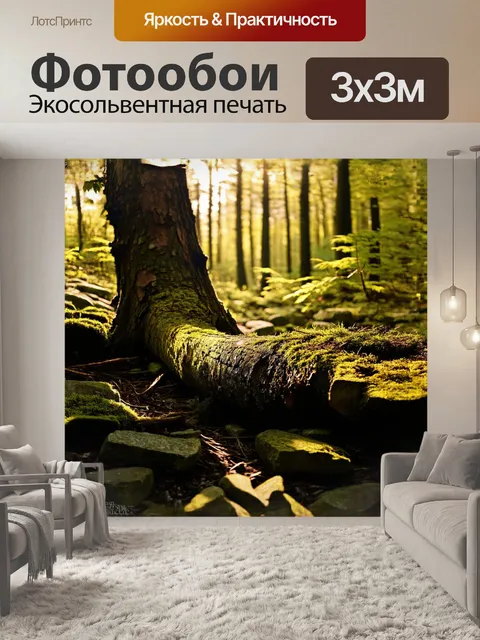 Фотообои солнечный свет пробивается сквозь листву