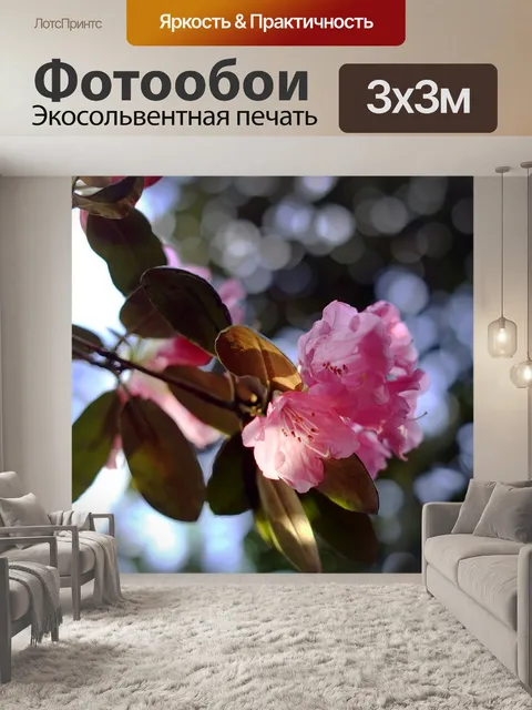 Фотообои Цветы