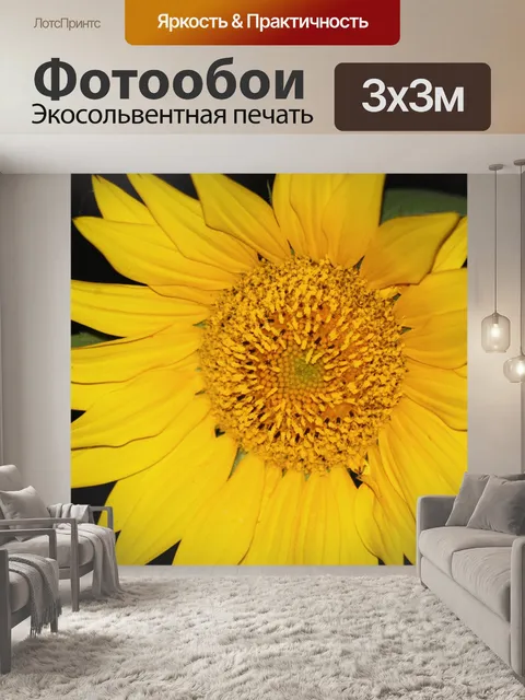 Фотообои Подсолнечник на черном
