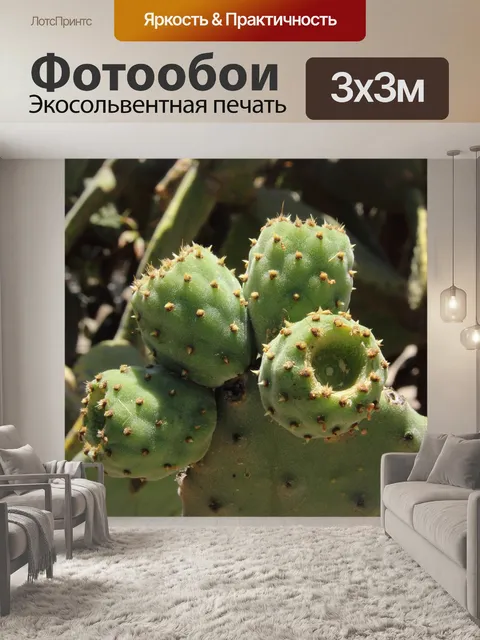 Фотообои Опунция