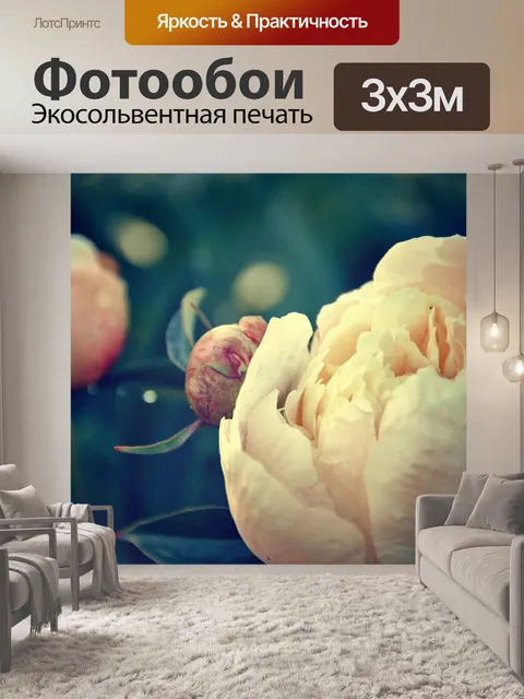 Фотообои Пион