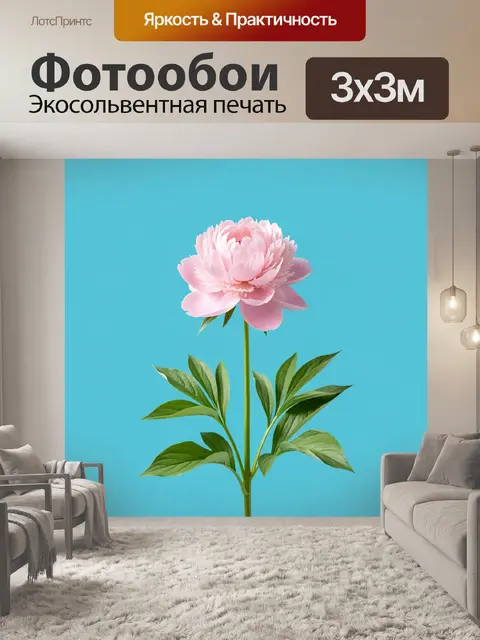 Фотообои Нежный розовый цветок на голубом фоне