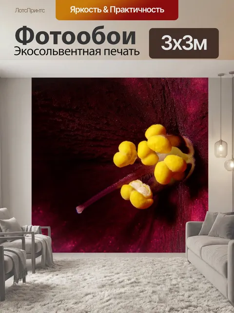 Фотообои Макро
