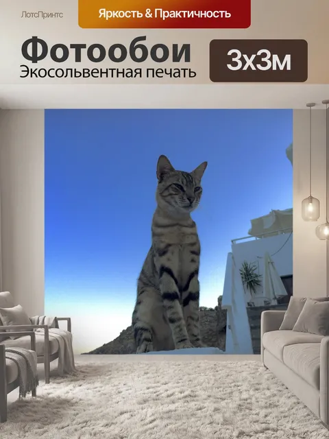 Фотообои Кошка