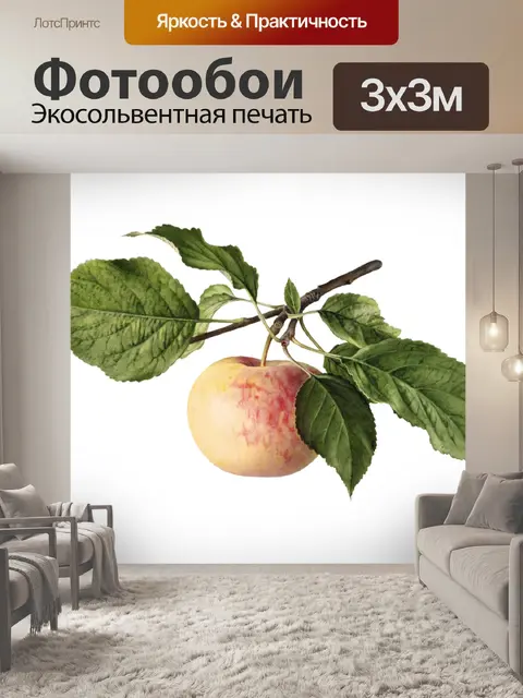 Фотообои Винтажные яблочные фрукты