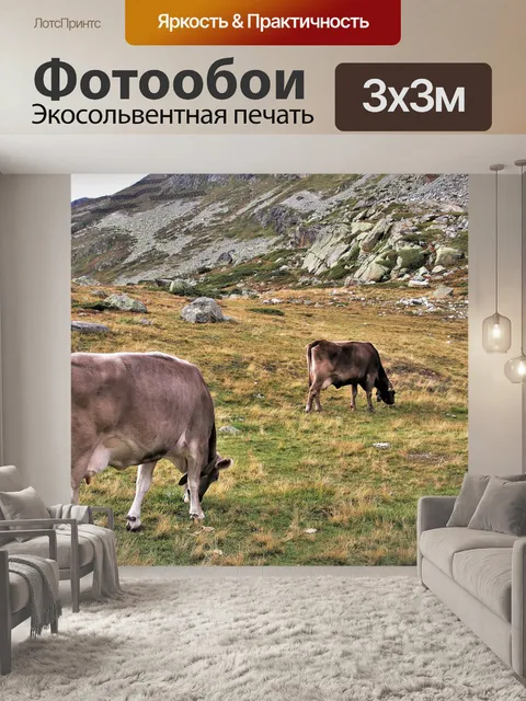 Фотообои Коровы