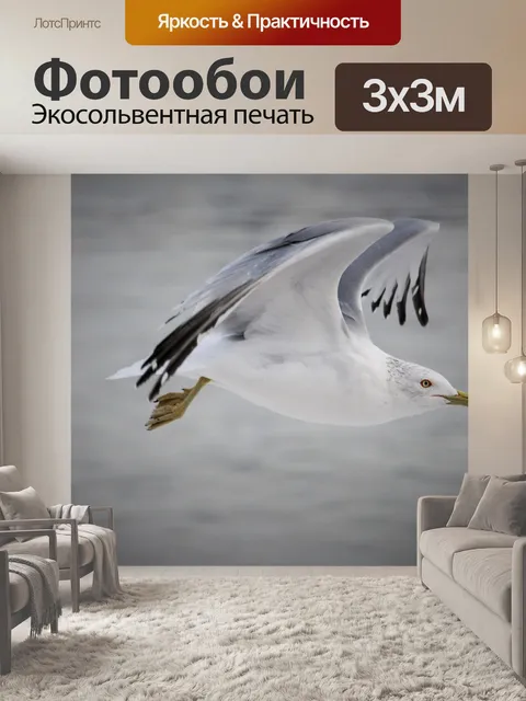 Фотообои Птица