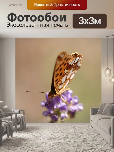 Фотообои Бабочка