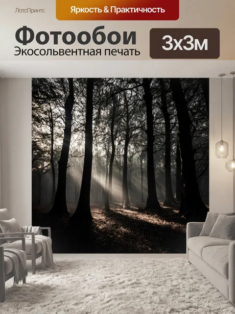 Фотообои природа в стиле готический: солнечные лучи, пробивающиеся сквозь черные деревья в мрачном лесу