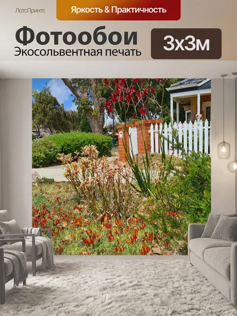 Фотообои Красные желтые лапы кенгуру