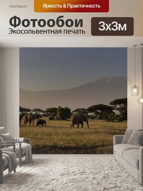 Фотообои Африке