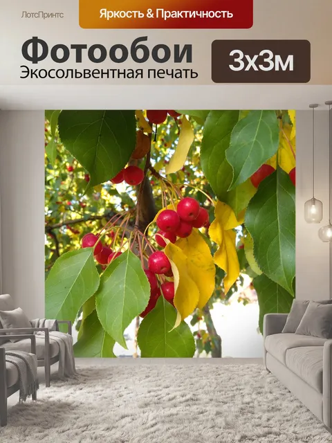 Фотообои Дерево