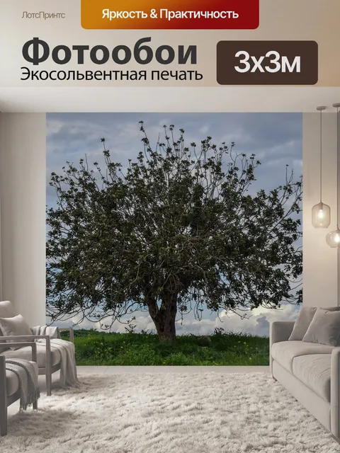 Фотообои Дерево