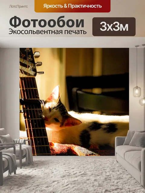 Фотообои Кошка и гитара