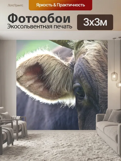 Фотообои Корова