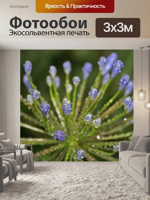 Фотообои капли воды на голубых бутонах агапантуса