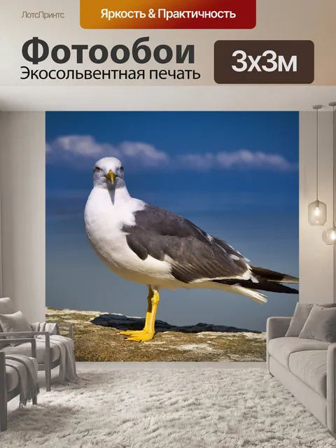 Фотообои Птица