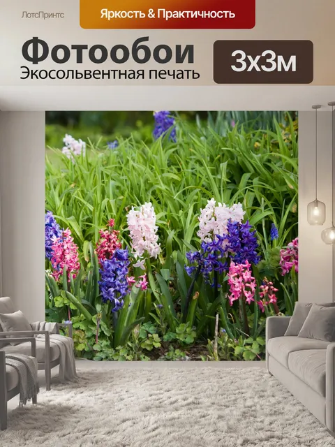 Фотообои Цветки гиацинта
