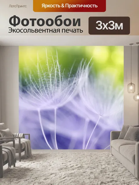Фотообои Цветок одуванчика