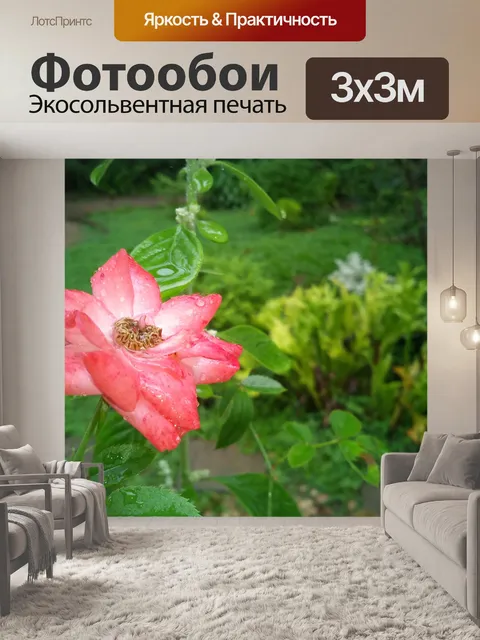 Фотообои Влажные росы Цветочный сад