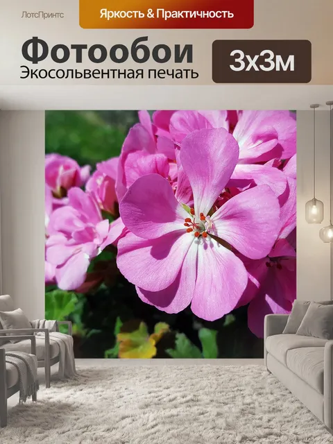 Фотообои Розовая герань