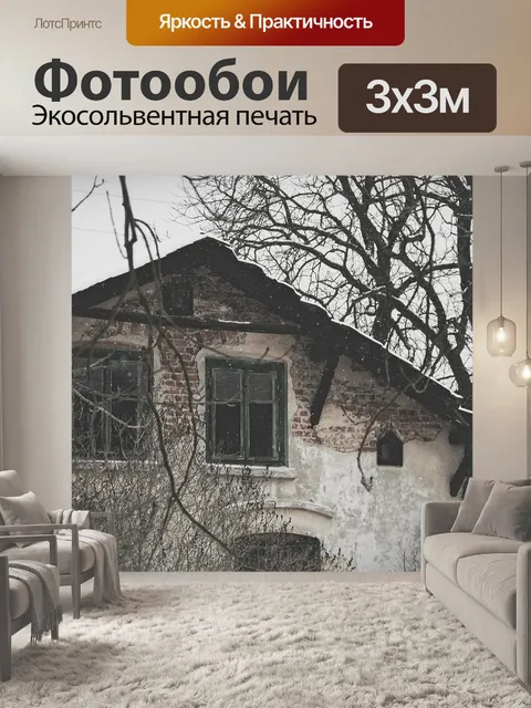 Фотообои Заброшенный дом