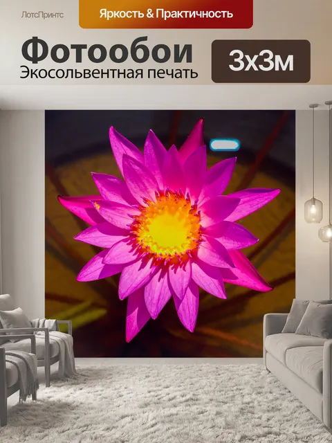 Фотообои Цветок лотоса