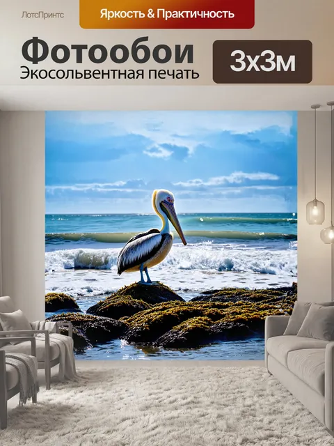 Фотообои пеликан, сидящий на камнях в окружении морских водорослей, внимает волнам, омывающим его ногти