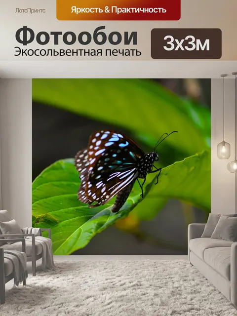 Фотообои Бабочка на заводе